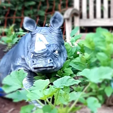 Abu-ferienwohnung Lägenhet