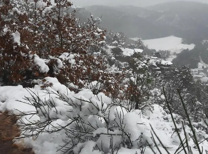 アパート Abu-ferienwohnung ニデッケン