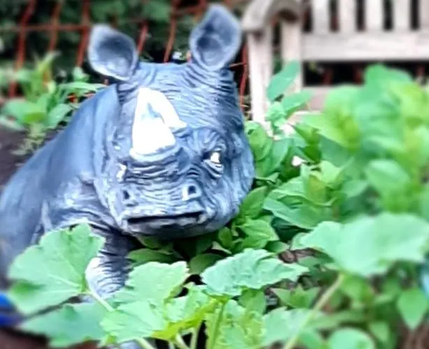 Abu-ferienwohnung アパート